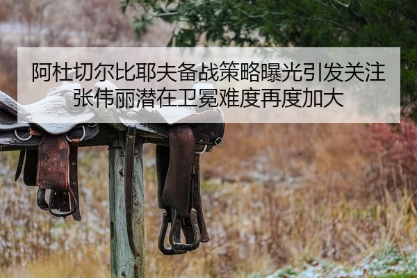 阿杜切尔比耶夫备战策略曝光引发关注张伟丽潜在卫冕难度再度加大