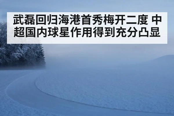 武磊回归海港首秀梅开二度 中超国内球星作用得到充分凸显